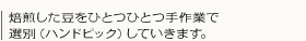 焙煎した豆をひとつひとつ手作業で選別(ハンドピック)していきます。