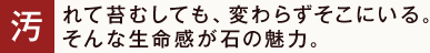 汚れて苔むしても、変わらずそこにいる。そんな生命感が石の魅力。