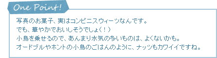 One Point! 写真のお菓子、実はコンビニスウィーツなんです。でも、華やかでおいしそうでしょ（！）小鳥を乗せるので、あんまり水気の多いものは、よくないかも。オードブルやホントの小鳥のごはんのように、ナッツもカワイイですね。