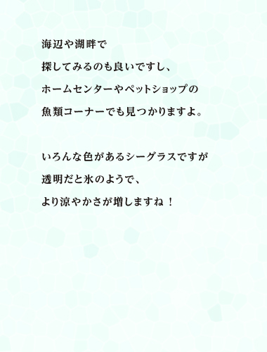 海辺や湖畔で探してみるのも良いですし、ホームセンターやペットショップの魚類コーナーでも見つかりますよ。いろんな色があるシーグラスですが透明だと氷のようで、より涼やかさが増しますね ！